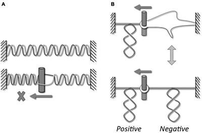 Archaea: A Gold Mine for Topoisomerase Diversity